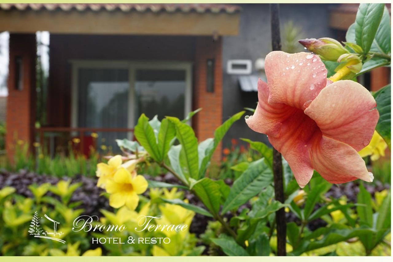 Bromo Terrace Hotel Ngoại thất bức ảnh