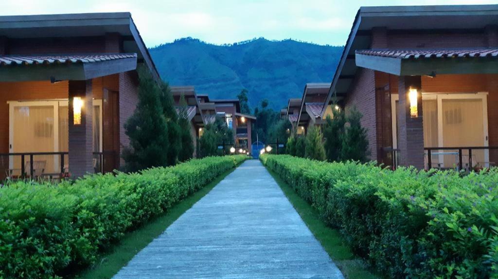 Bromo Terrace Hotel Ngoại thất bức ảnh